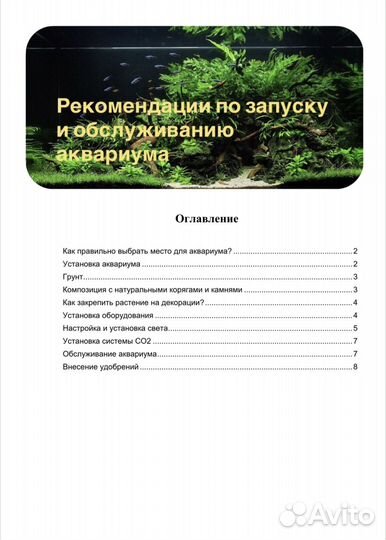 Рекомендации по запуску и обслуживанию аквариума