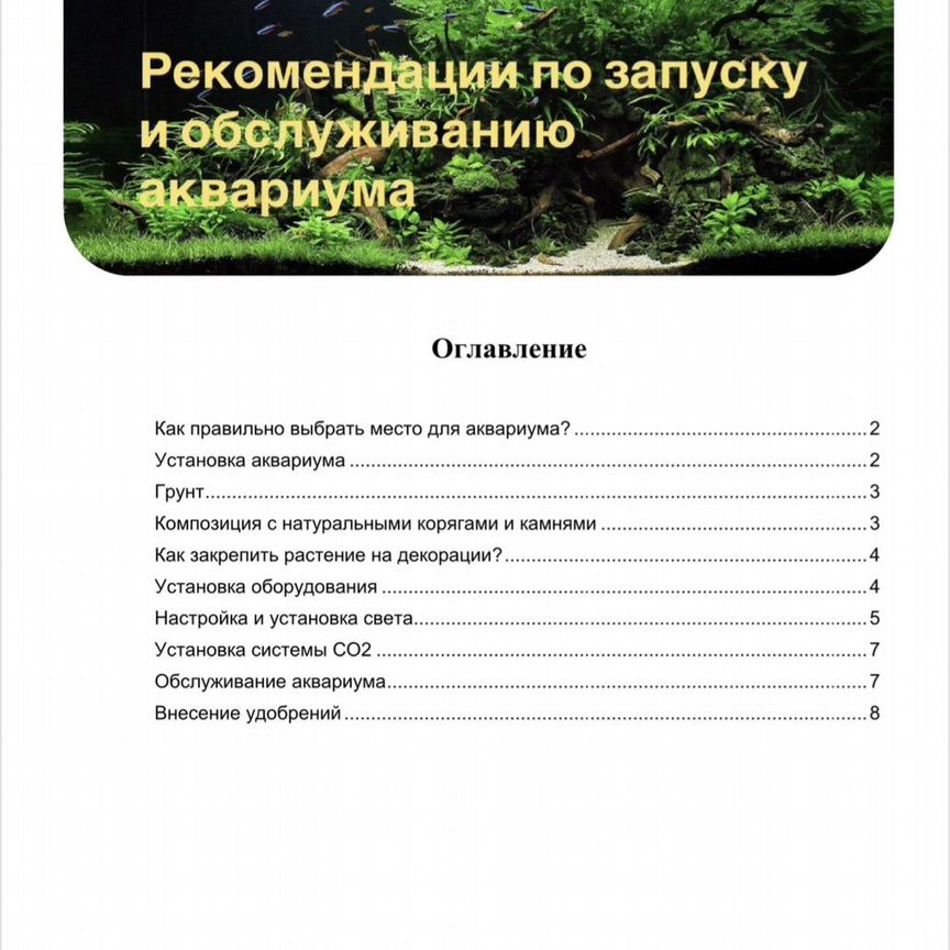 Рекомендации по запуску и обслуживанию аквариума