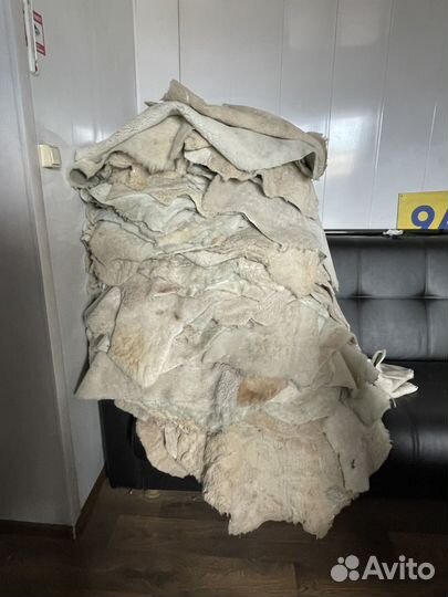 Овечья шкура