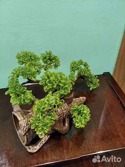 Деревья бонсай