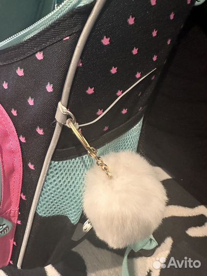 Рюкзак школьный для девочки гризли