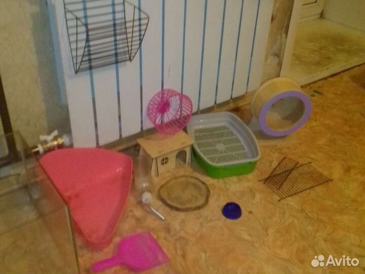 Товары для грызунов