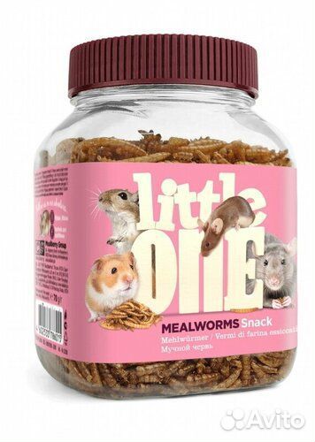 Мучной червь для грызунов Little One