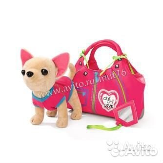 Чичилав Собачка