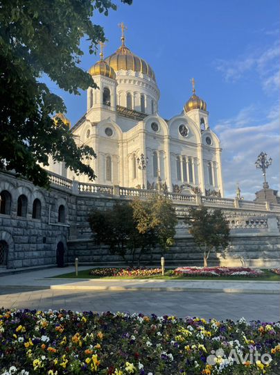 Психологическая консультация