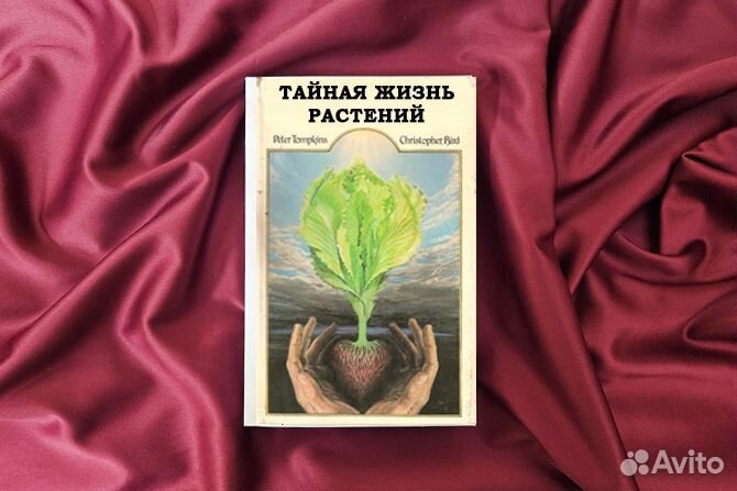 Тайная жизнь растений экстрасенсов