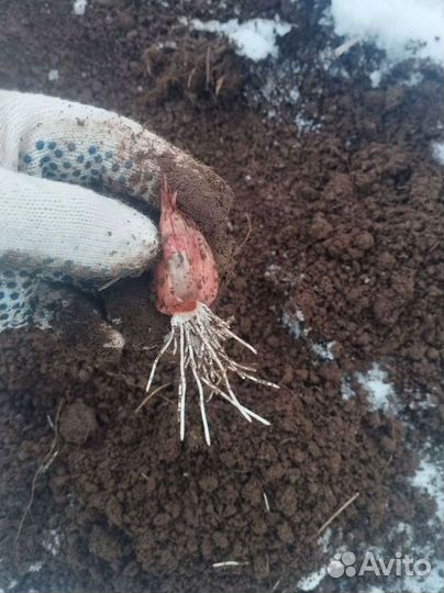 Инвестор в прибыльный бизнес