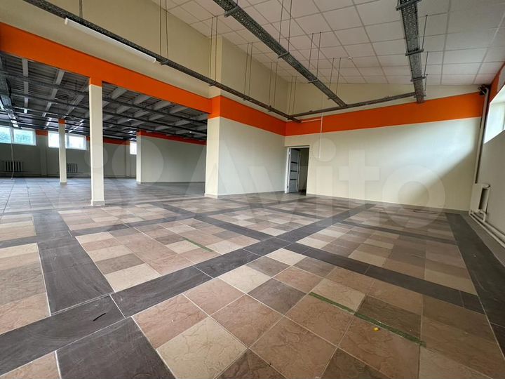 1-я линия, 250 м², трафик, Чуйкова