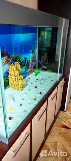 Аквариум 450 Литров