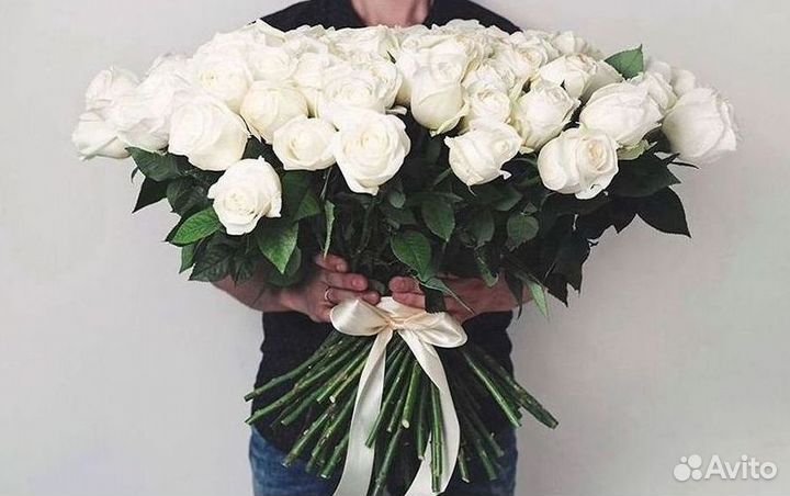 Высокие розы Гигантские розы 110