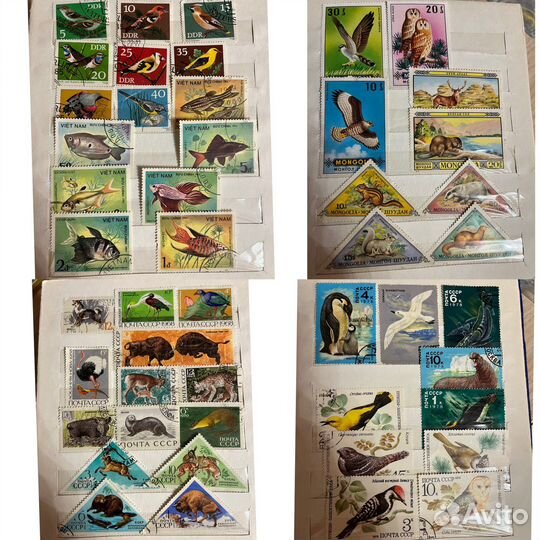 Почтовые марки