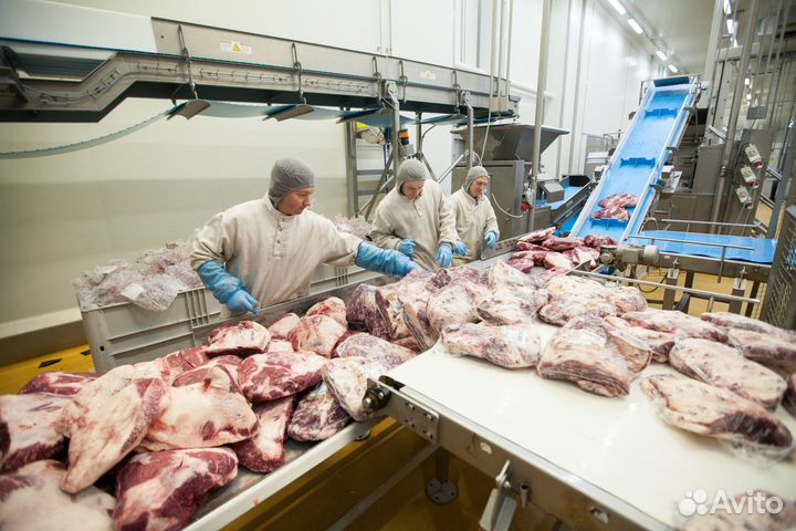 Разнорабочие 2200 на мясокомбинат вахта в Воронеже