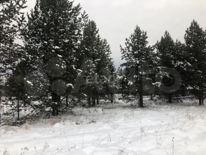 Участок 12,2 сот. (ИЖС)