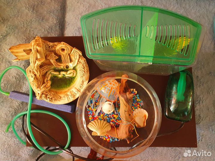 Аквариумы, компрессор и декор