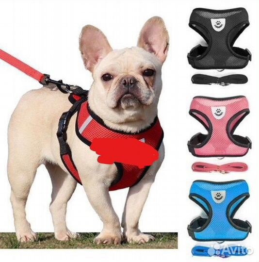 Шлейка для собак и кошек