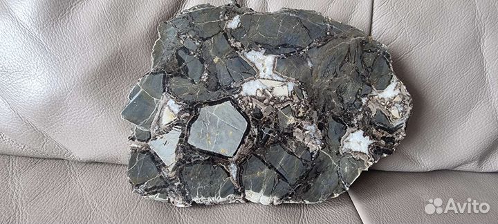 Септария спил