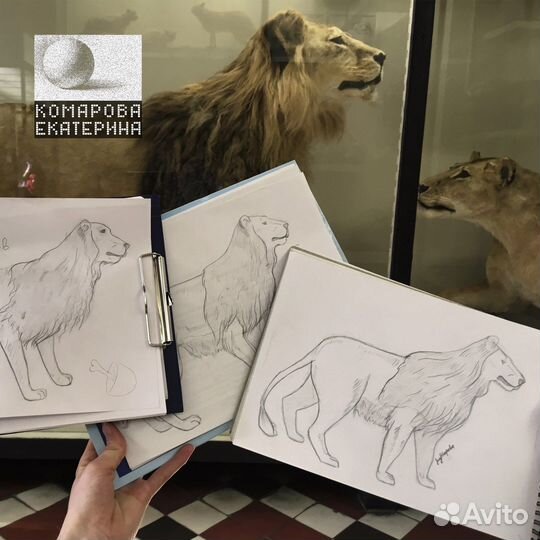 Рисование в музеях Москвы, Пленэр