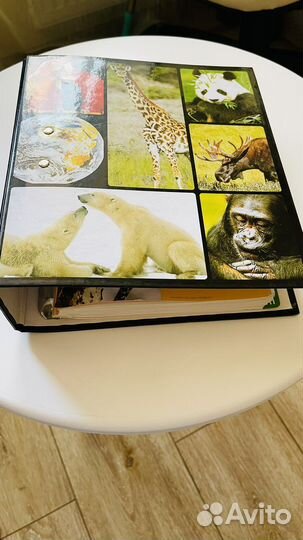 Энциклопедия животного мира