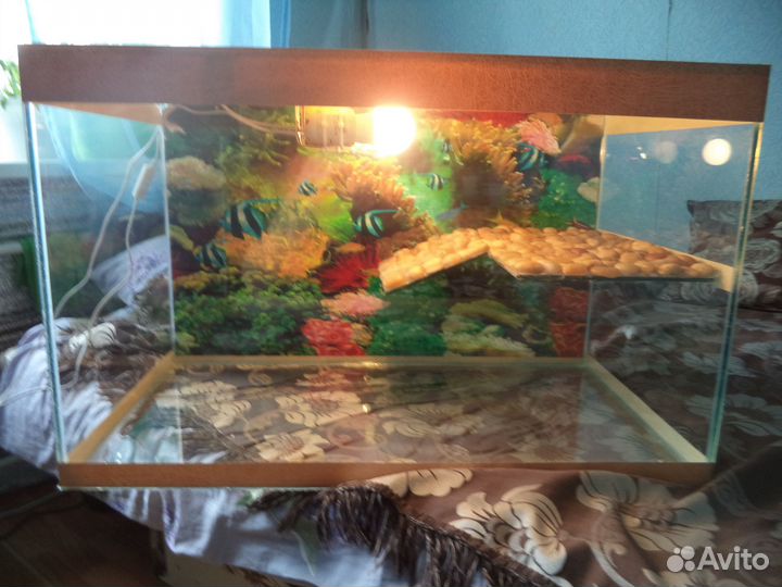 Новые Аквариумы 30.40.60.80.100 и 120 л