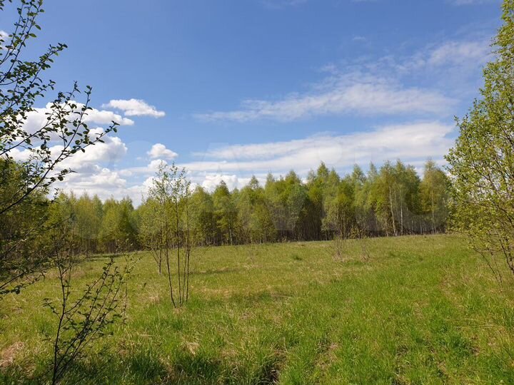 Участок 5,4 га (СНТ, ДНП)