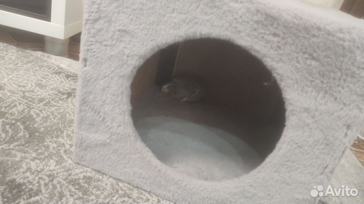 Кошачий домик с когтеточкой