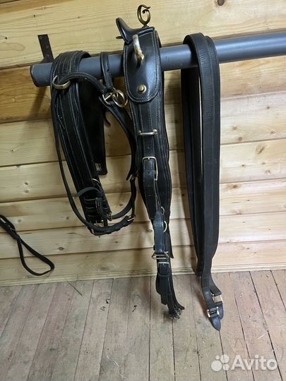 Европейская упряжь