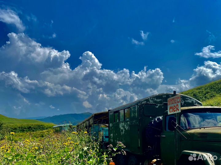 Мед оптом и розница