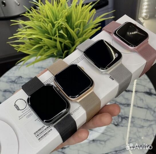 Apple watch series 8