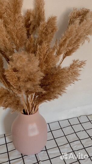 Сухоцвет для декора интерьера