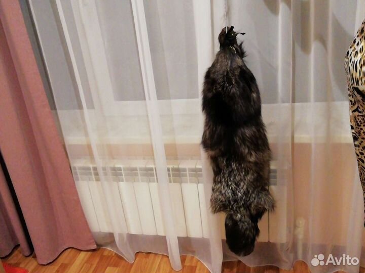 Шкура чернобурки