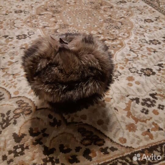 Мужская шапка