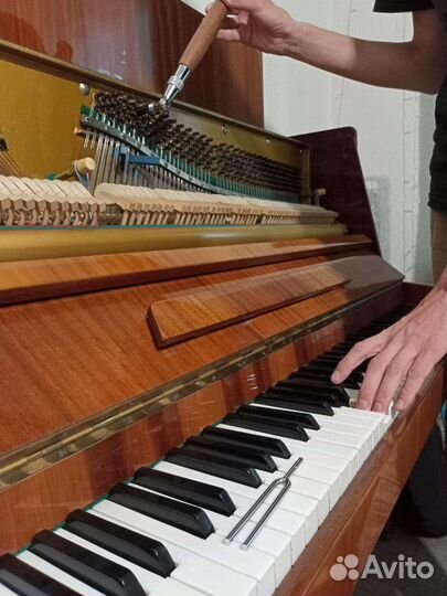Настройка фортепиано