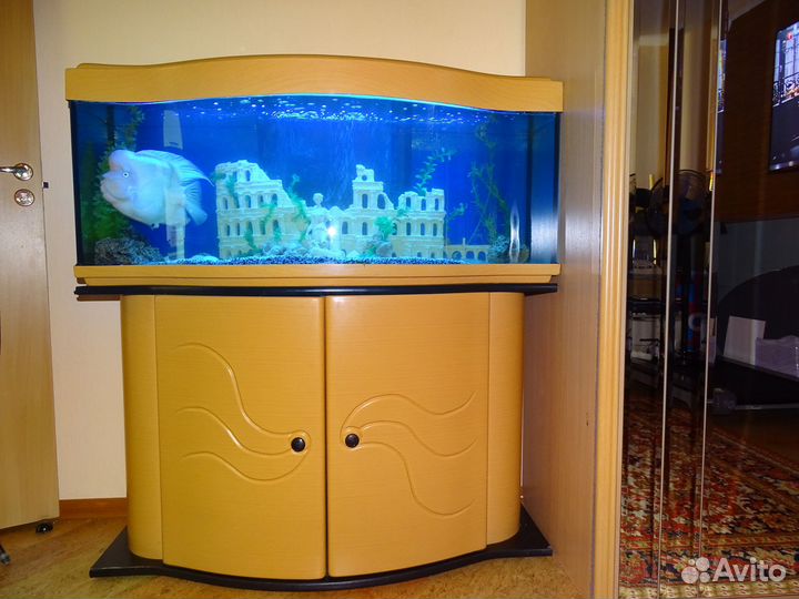 Аквариум 180 литров (Италия) с тумбой