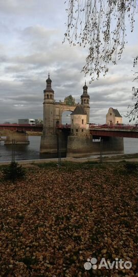 Экскурсии, гид. Калининград и область