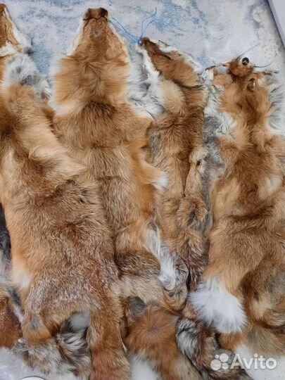 Шкуры (лиса) 9шт