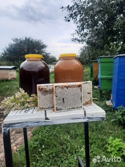 Мед с личной пасеки