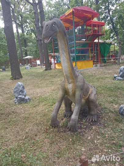 Зарежу : кур, кролика, козу, поросенка