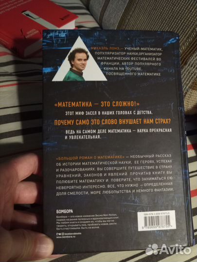 Книги Большой роман о математике, Теорема зонтика