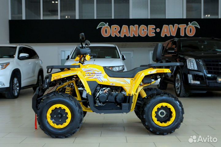 Avantis hunter 200 BIG LUX