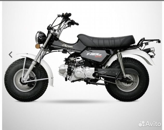 Skyteam T-Rex 125
