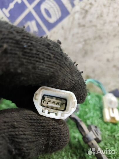 Проводка двери передняя правая Toyota Avensis