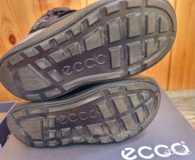 Ботинки ecco 26