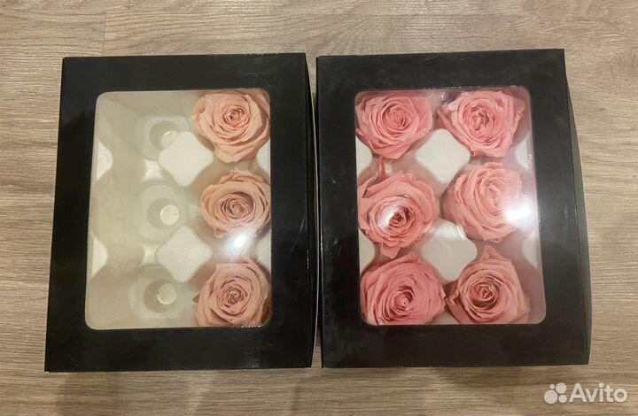 Стабилизированная роза