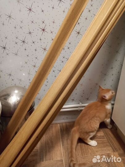 Плинтус напольный пластиковый