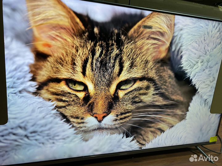 Сверх телевизор 55 - есть все
