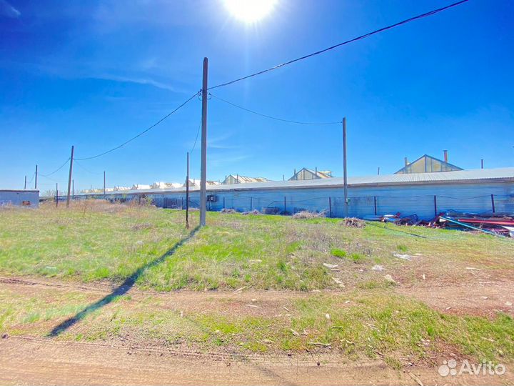 Продажа теплиц (цветы)