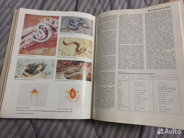 Краткая медицинская энциклопедия