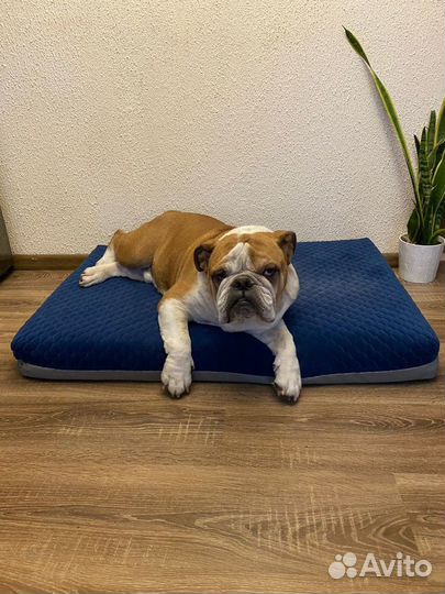 Матрас для собаки