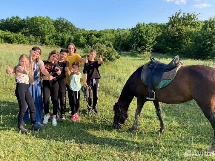 Путевка в детский конный лагерь