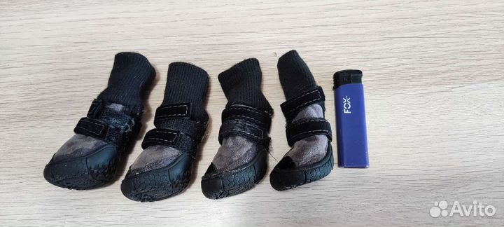 Обувь для собак